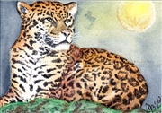54-Jaguar