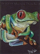 ACEO-50-Treefrog